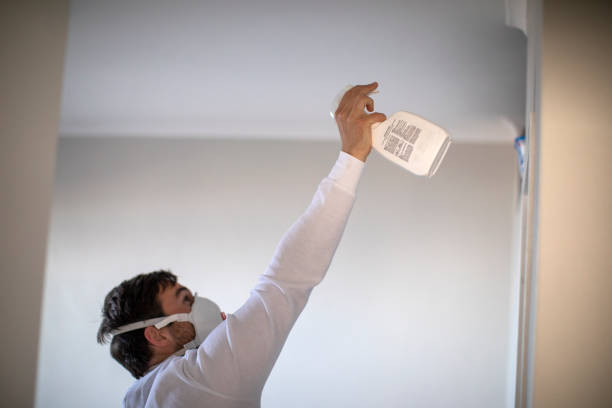 Professional Mold Removal in Stratford, NJ