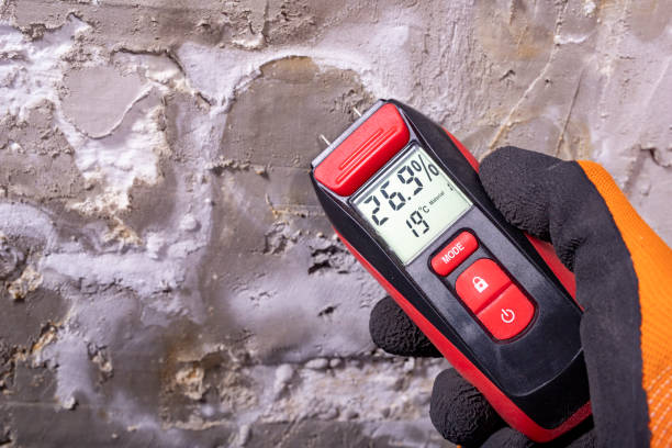 Best Local Mold Removal Service  in Stratford, NJ