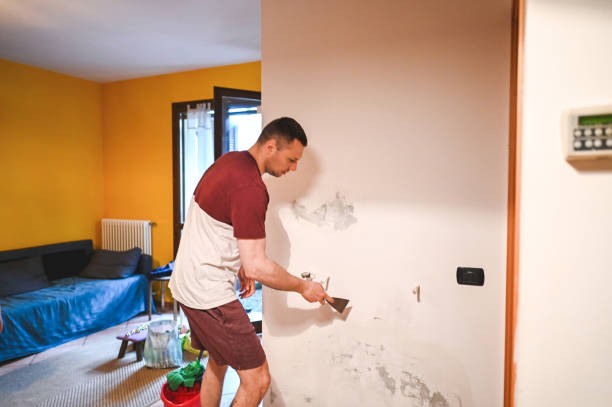 Best Residential Mold Removal  in Stratford, NJ