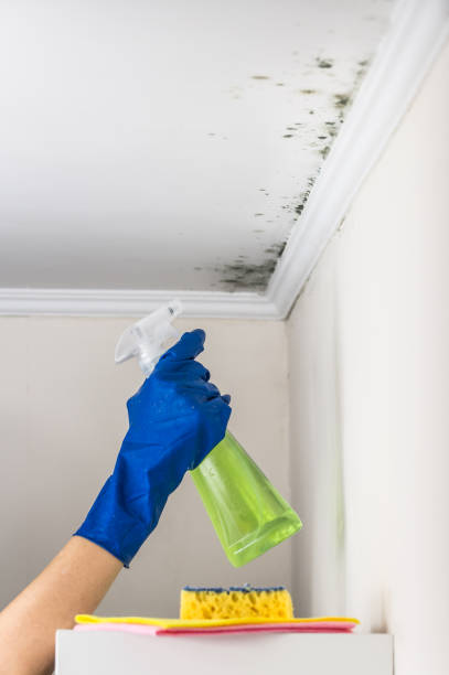 Best Crawl Space Mold Removal  in Stratford, NJ